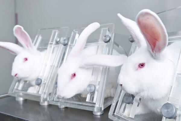 Animal-free methods in antibody production - new paper published