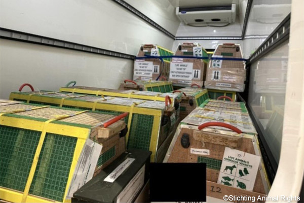 Non-human-primate trade