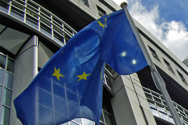 ECEAE contributes to EU Roadmap with two Transitional Initiatives