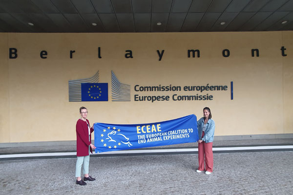 Roadmap to phase-out animal experiments