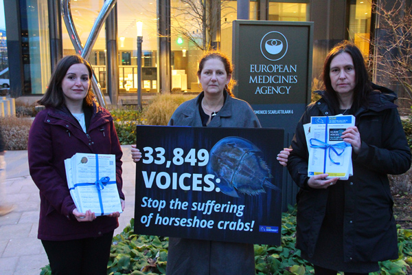 Stop the Suffering of Horseshoe Crabs - signatures handover in Amsterdam